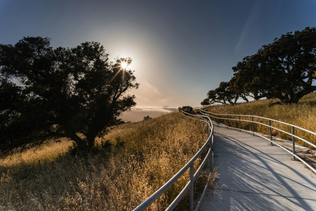 Local hiking path representing our Palo Alto property management service.